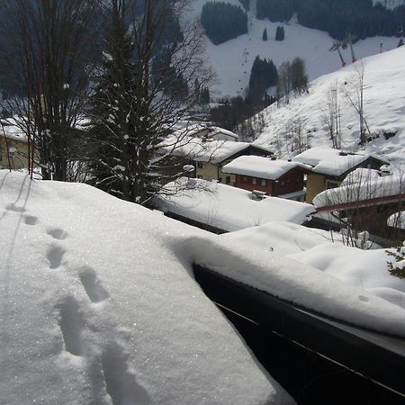 Appartement Bernkogel ザールバッハ・ヒンターグレム エクステリア 写真