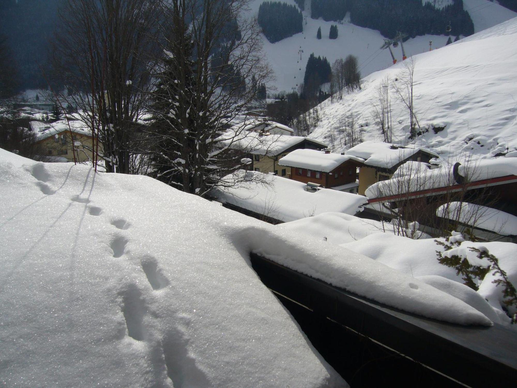 Appartement Bernkogel ザールバッハ・ヒンターグレム エクステリア 写真